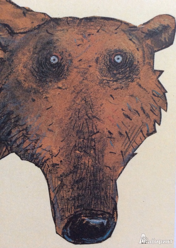 Иллюстрация 7 из 38 для Медвежье чудо - Вольф Эрльбрух | Лабиринт - книги. Источник: Петрова  Кристина