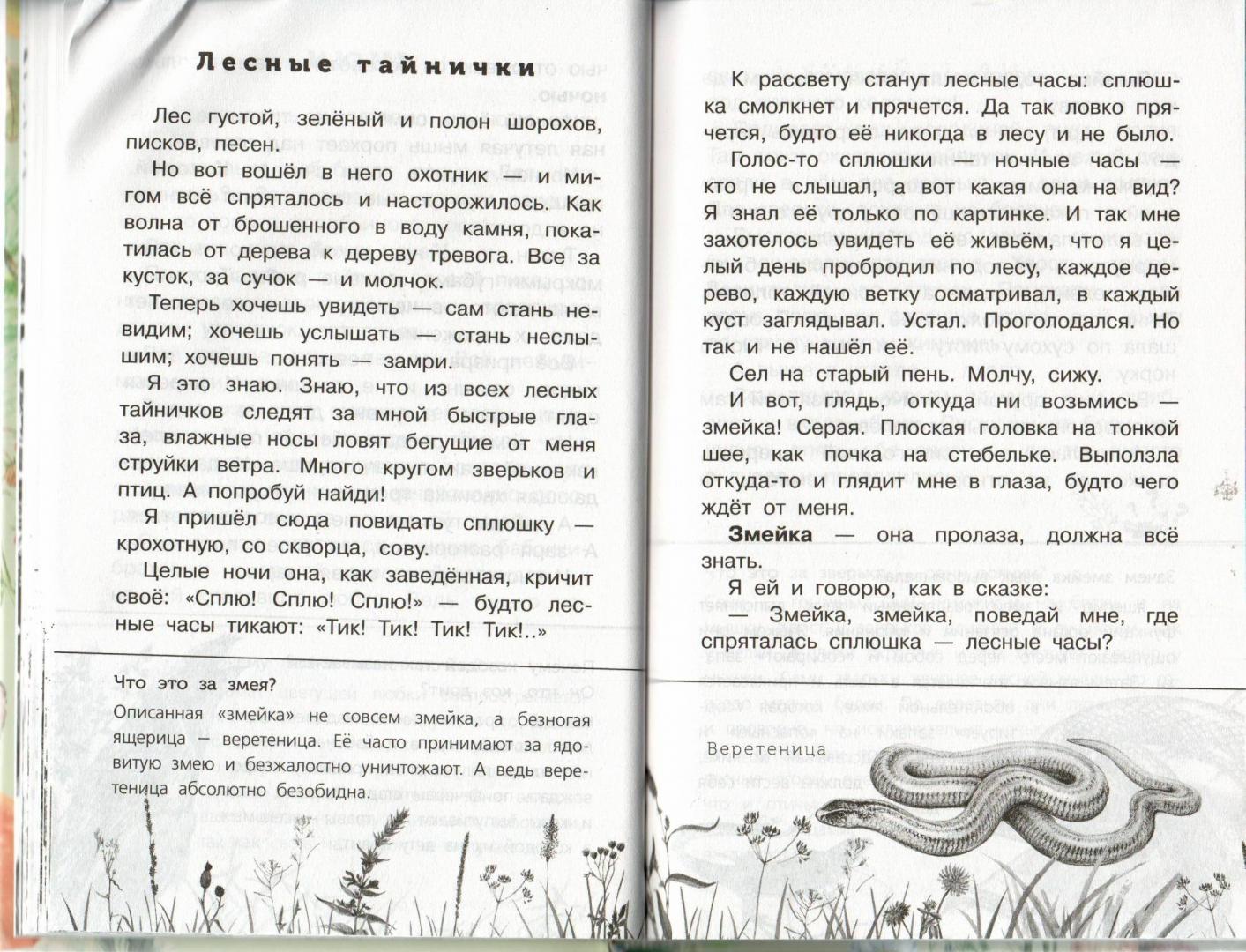 Иллюстрация 17 из 24 для Лесные тайнички - Николай Сладков | Лабиринт - книги. Источник: Лабиринт