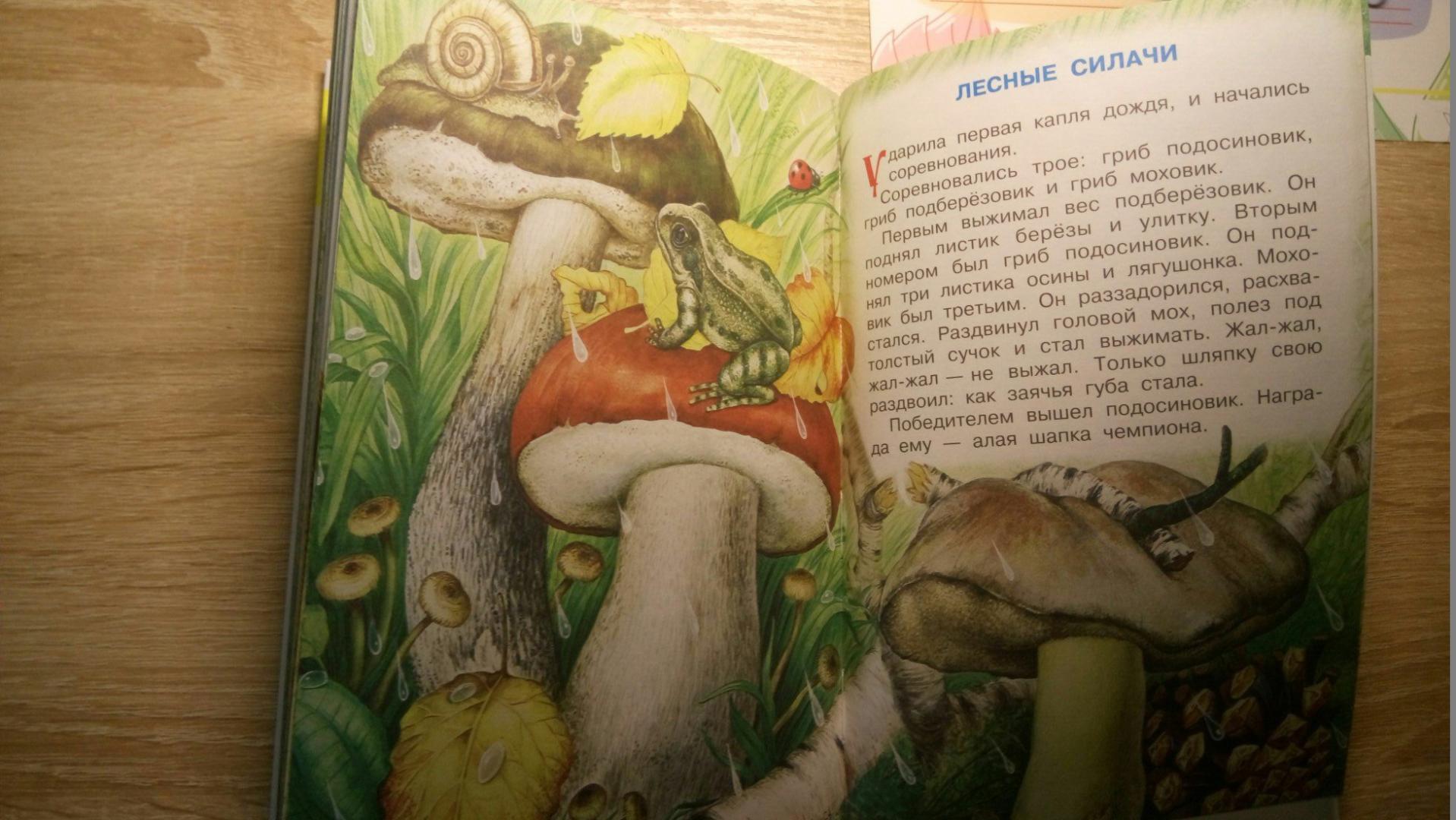 Иллюстрация 19 из 21 для Рассказы о природе - Бианки, Сладков, Пришвин | Лабиринт - книги. Источник: Анна888