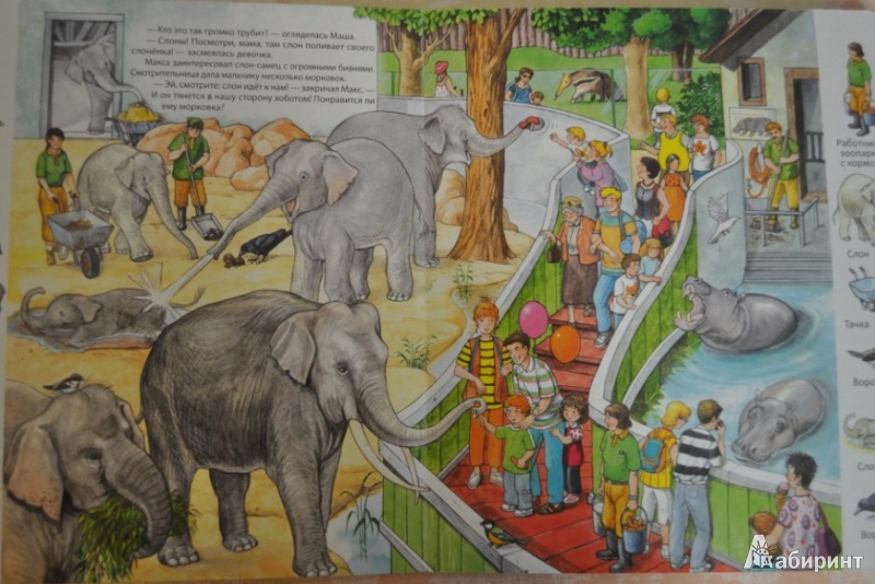 Иллюстрация 6 из 35 для В зоопарке | Лабиринт - книги. Источник: Слюсарева  Мария Викторовна