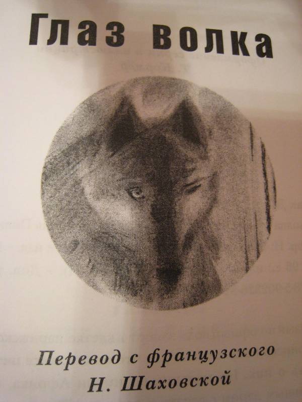 Иллюстрация 10 из 29 для Глаз волка - Даниэль Пеннак | Лабиринт - книги. Источник: Марняшка