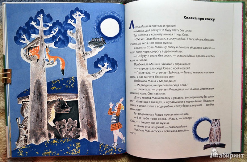 Иллюстрация 46 из 55 для Маша и Ойка - Софья Прокофьева | Лабиринт - книги. Источник: Раскова  Юлия