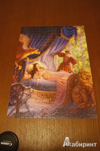 Иллюстрация 3 из 10 для Пазл-мозаика "Спящая красавица" 500 деталей (B-51533) | Лабиринт - игрушки. Источник: Elena_Vamp