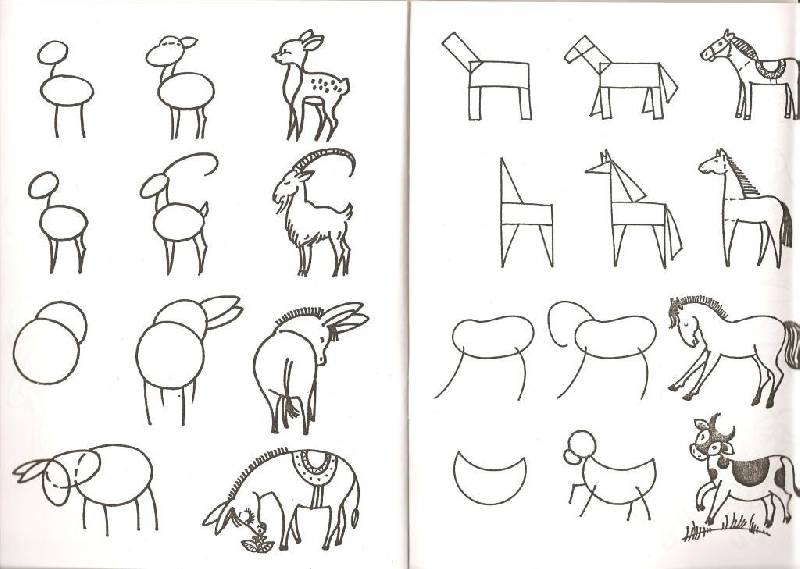Иллюстрация 3 из 23 для Обучение детей дошкольного возраста рисованию животных по алгоритмическим схемам. ФГОС - Нелли Шайдурова | Лабиринт - книги. Источник: Ксена