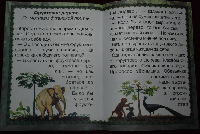 Иллюстрация 4 из 17 для Джунгли или путешествие по тропическому лесу - Ольга Колпакова | Лабиринт - книги. Источник: Lared