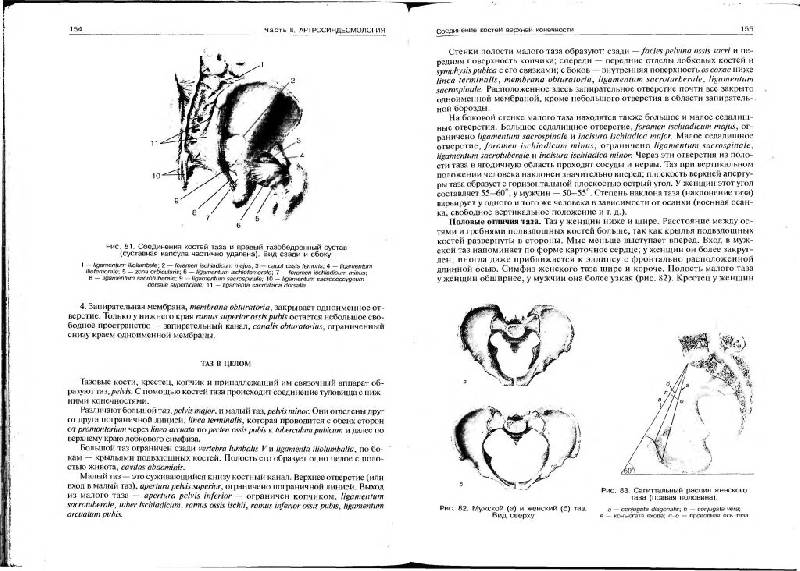 Иллюстрация 6 из 11 для Нормальная анатомия человека. В 2 томах. Том 1 - Иван Гайворонский | Лабиринт - книги. Источник: Юта