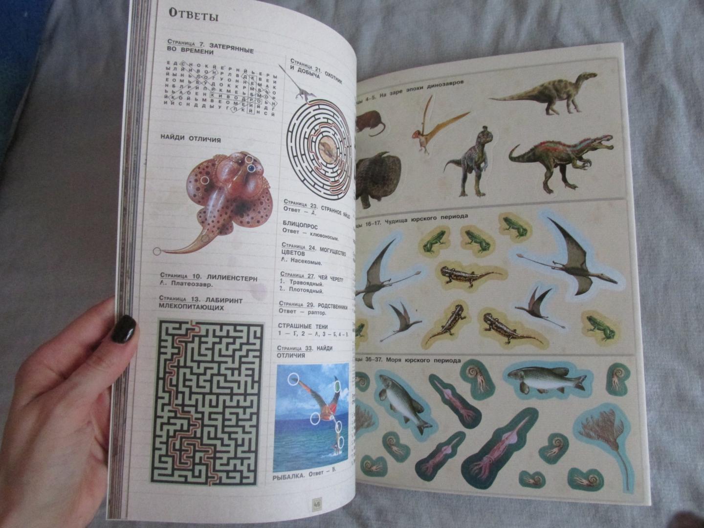 Иллюстрация 42 из 42 для Занимательная зоология. Динозавры - Полли Чизман | Лабиринт - книги. Источник: Лабиринт