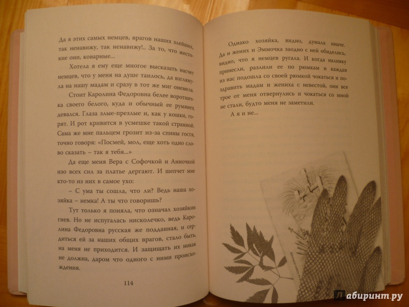 Иллюстрация 33 из 44 для Наташин дневник - Лидия Чарская | Лабиринт - книги. Источник: SofiiKa