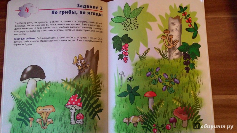 Иллюстрация 23 из 26 для Окружающий мир. Для детей 5-6 лет - И. Бушмелева | Лабиринт - книги. Источник: Юся31