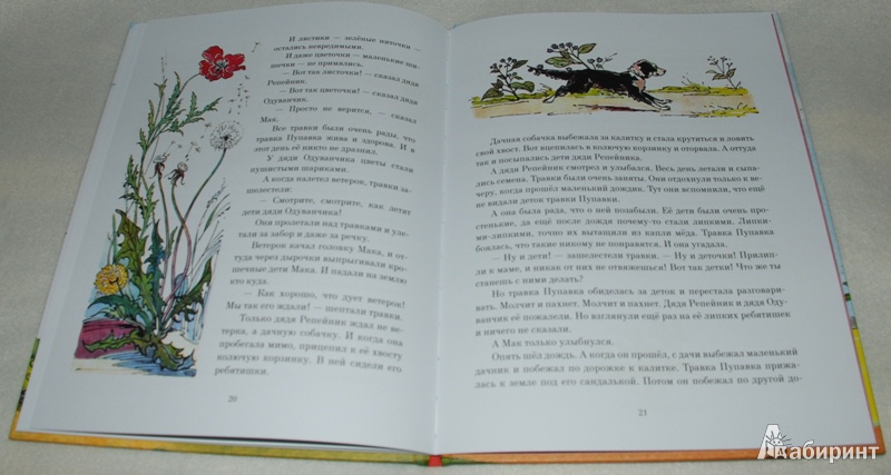 Иллюстрация 17 из 33 для Жёлтый, белый, лиловый - Нина Павлова | Лабиринт - книги. Источник: Книжный кот