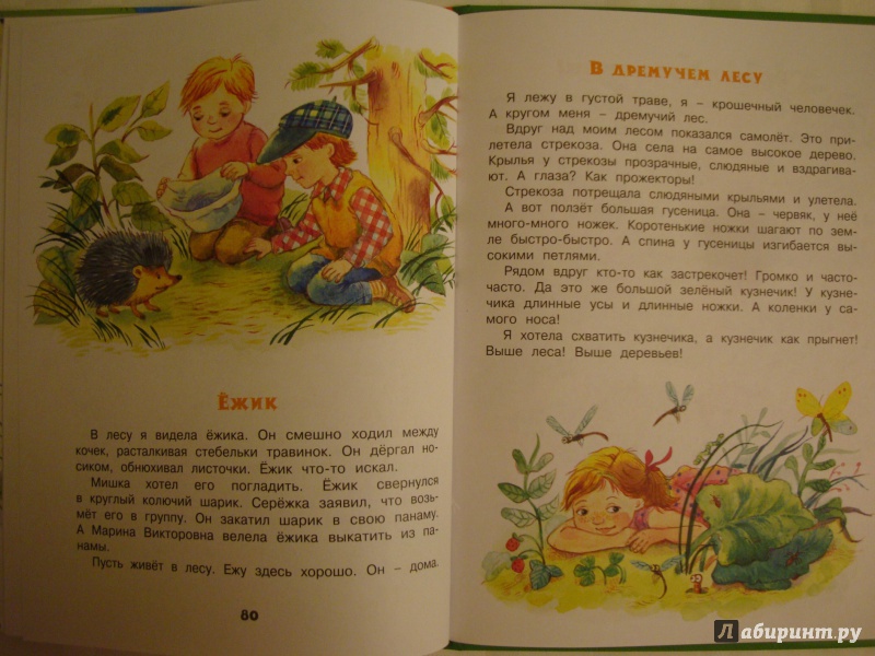 Иллюстрация 10 из 33 для Любопытная сорока - Гайда Лагздынь | Лабиринт - книги. Источник: Pafichka