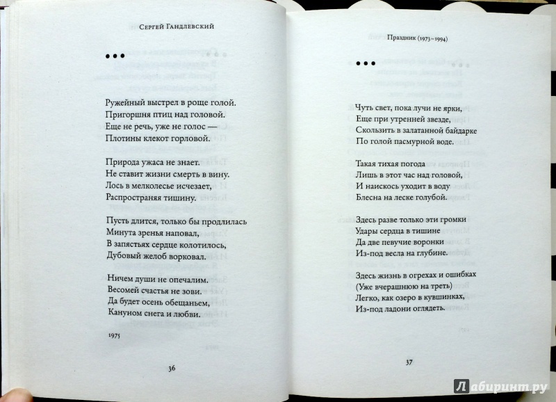 Иллюстрация 18 из 20 для Стихотворения - Сергей Гандлевский | Лабиринт - книги. Источник: fionna_cake