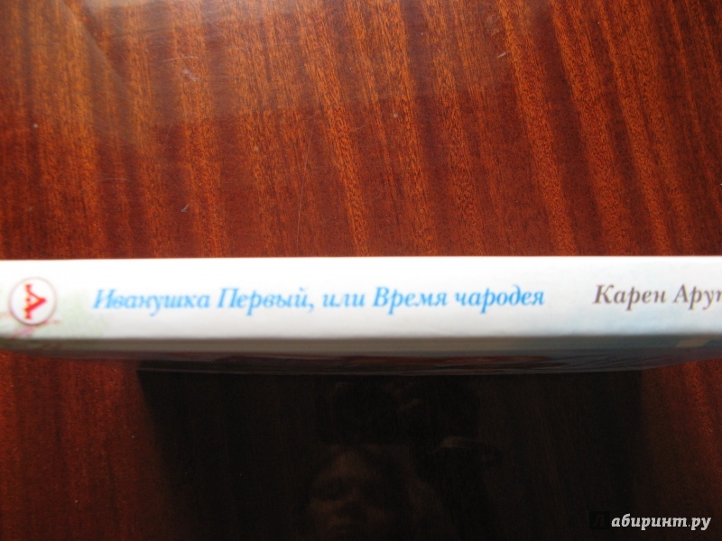 Иллюстрация 43 из 54 для Иванушка Первый, или Время чародея - Карен Арутюнянц | Лабиринт - книги. Источник: :-)