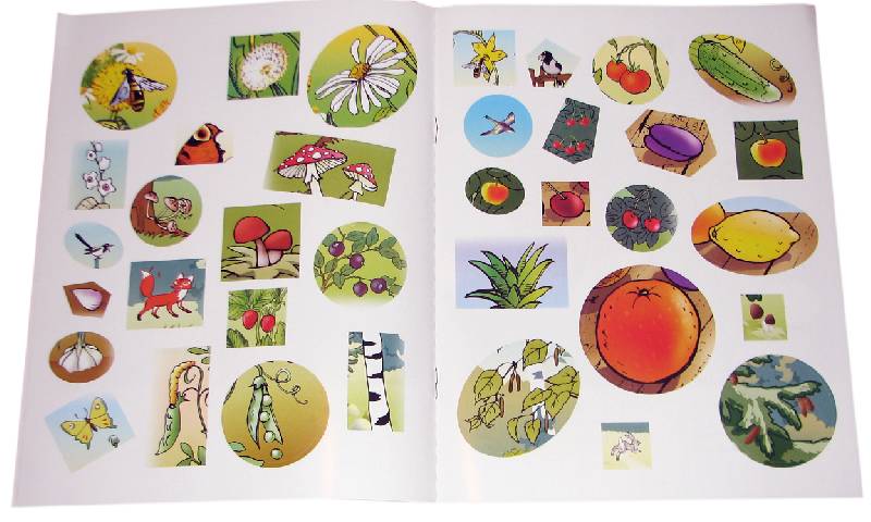 Иллюстрация 2 из 2 для Растения. Книжка-наклейка. | Лабиринт - книги. Источник: *Мария*