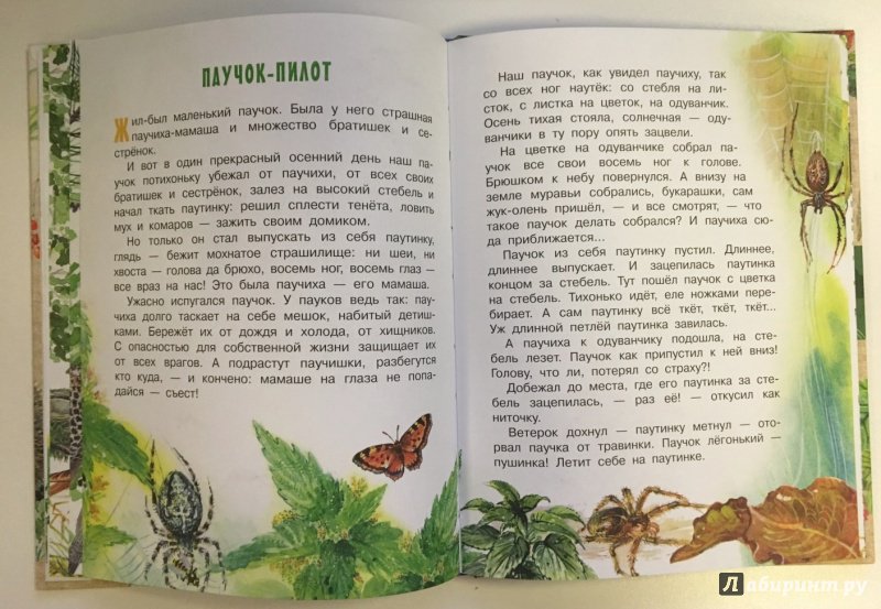 Иллюстрация 6 из 71 для Лесные домишки - Виталий Бианки | Лабиринт - книги. Источник: Лабиринт