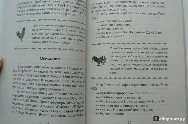 Иллюстрация 14 из 16 для Куры мясных пород - Иван Балашов | Лабиринт - книги. Источник: Марина