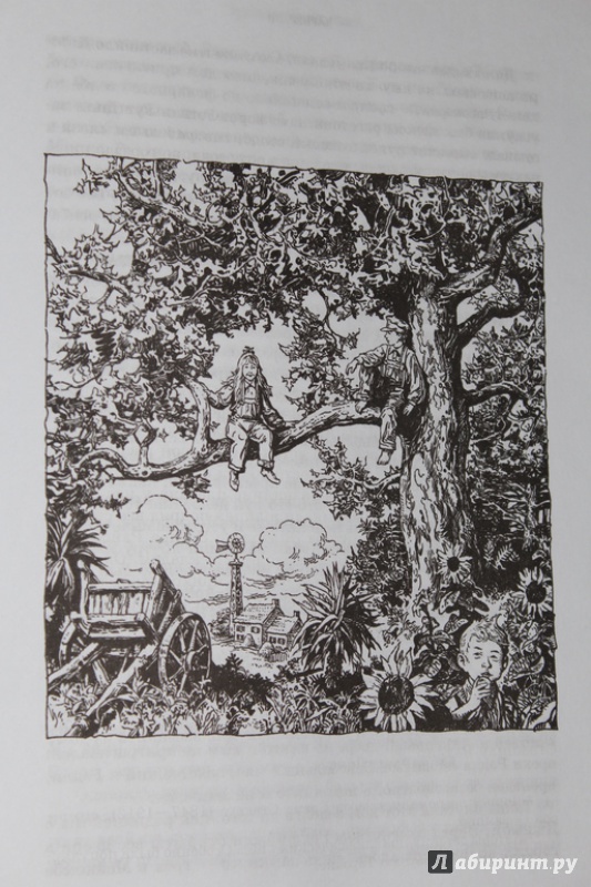 Иллюстрация 47 из 141 для Убить пересмешника... - Харпер Ли | Лабиринт - книги. Источник: Katerina
