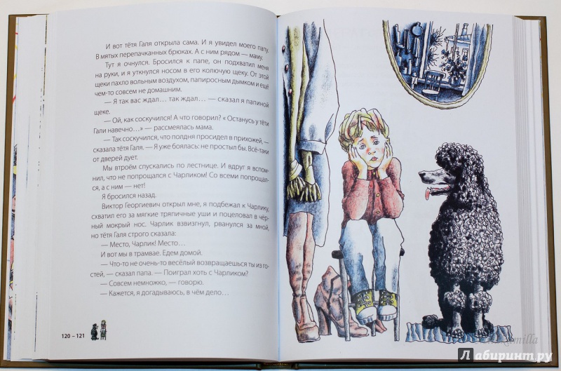 Иллюстрация 60 из 82 для Везучий Борька - Александр Гиневский | Лабиринт - книги. Источник: Букландия