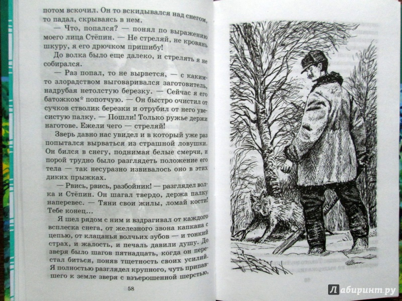 Иллюстрация 6 из 13 для Живая душа - Л. Трутнев | Лабиринт - книги. Источник: Зеленая шляпа