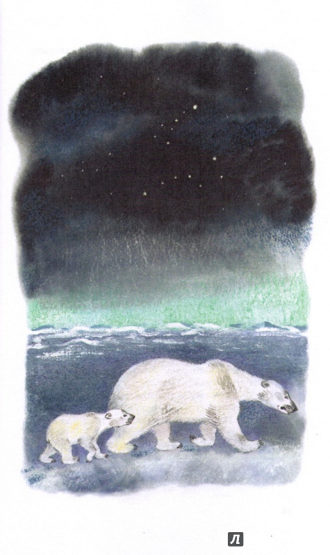 Иллюстрация 28 из 45 для В гостях у белого медведя - Олег Бундур | Лабиринт - книги. Источник: lutikcvetochek