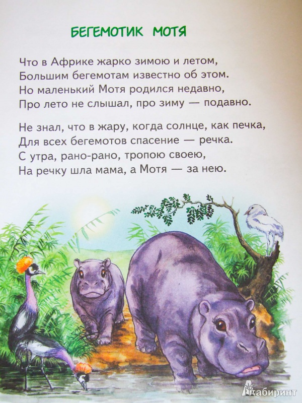 Иллюстрация 5 из 18 для Слонёнок Санни - Владимир Борисов | Лабиринт - книги. Источник: Чучелова  Ольга Викторовна