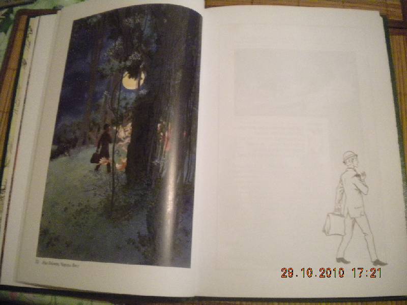 Иллюстрация 11 из 27 для Звездная пыль. Романтическая история, случившаяся в Волшебной Стране - Нил Гейман | Лабиринт - книги. Источник: Девушка с кошкой