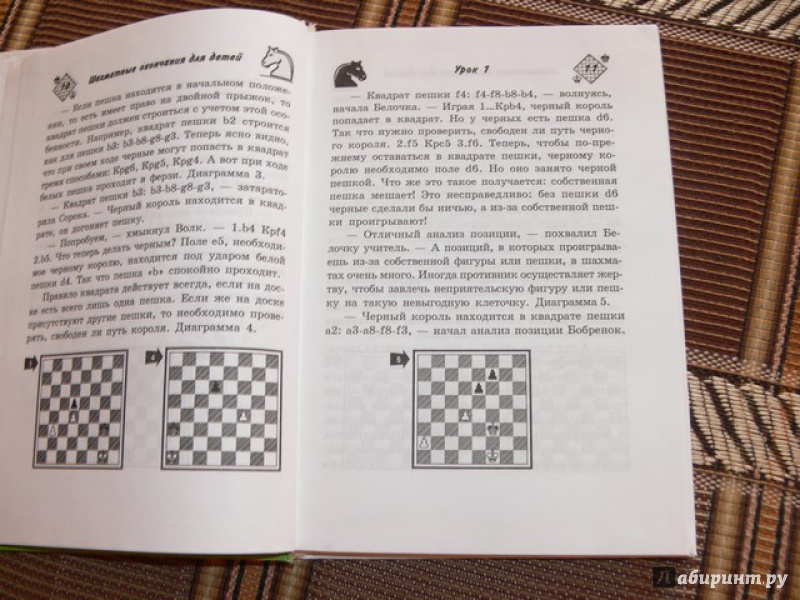 Иллюстрация 17 из 28 для Шахматные окончания для детей - Наталья Петрушина | Лабиринт - книги. Источник: Irbis