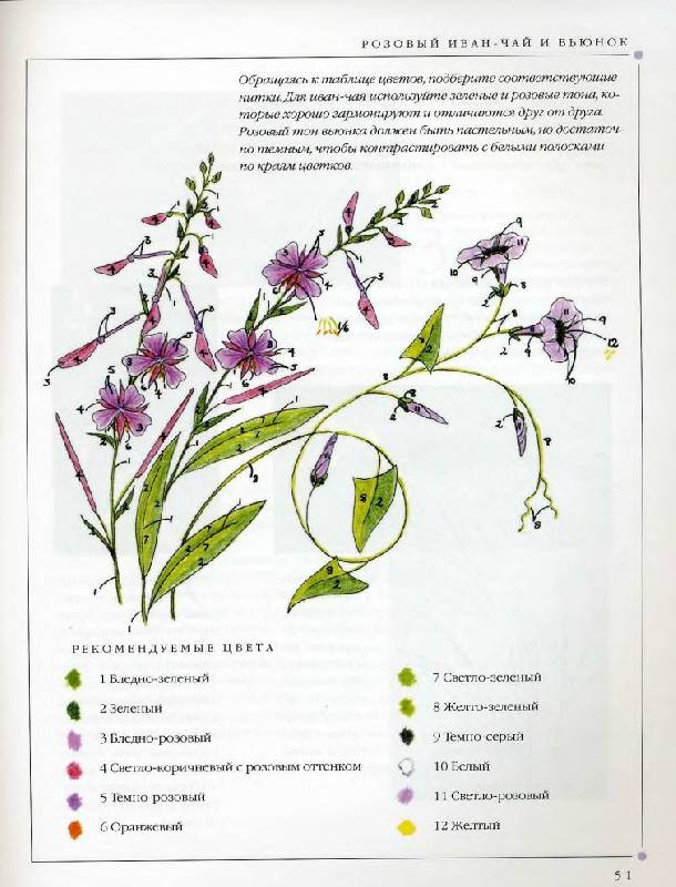 Иллюстрация 21 из 31 для Цветы. Практическое руководство - Хелен Стивенс | Лабиринт - книги. Источник: Юта