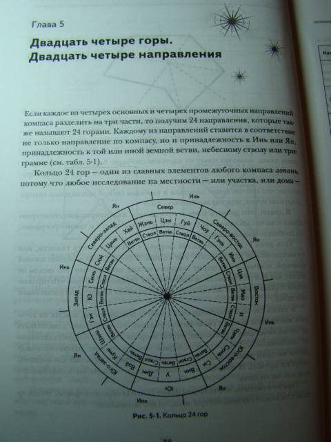 Иллюстрация 6 из 29 для Фэн-шуй летящих звезд. Энергетическая модель - Лев Игельник | Лабиринт - книги. Источник: D.OLGA