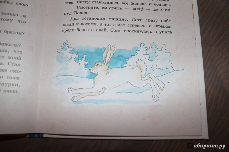 Иллюстрация 14 из 83 для Апельсин - Анна Доброчасова | Лабиринт - книги. Источник: Демьяненко Алиса