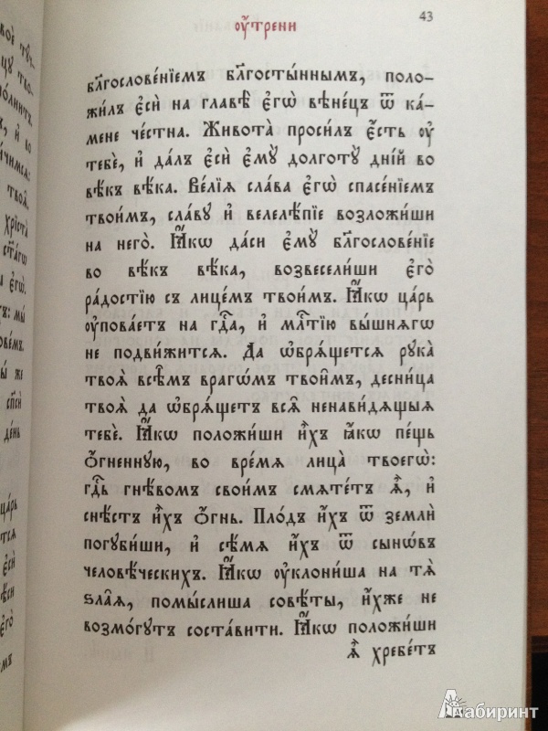 Иллюстрация 17 из 19 для Часослов на церковнославянском языке | Лабиринт - книги. Источник: rovadsch