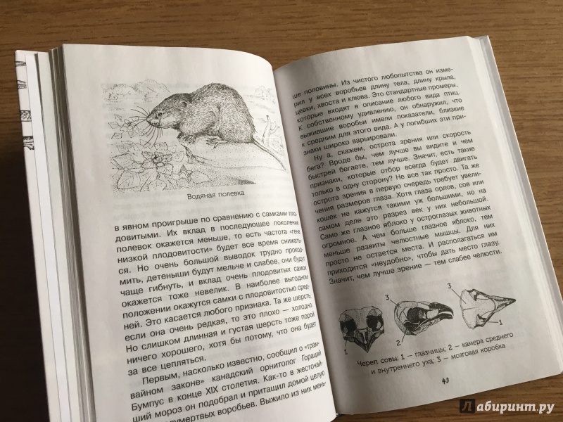 Иллюстрация 9 из 29 для Нескучная биология - Алексей Целлариус | Лабиринт - книги. Источник: Лабиринт
