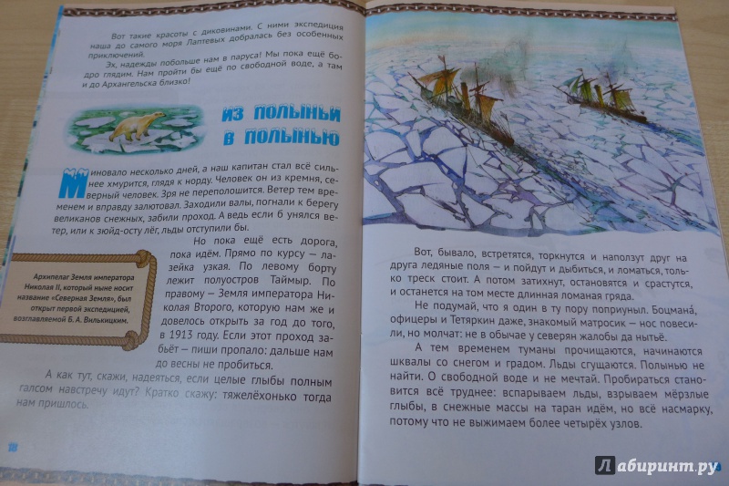 Иллюстрация 18 из 28 для Рождество в северных льдах - Марина Алешина | Лабиринт - книги. Источник: Кондрашева  Анна