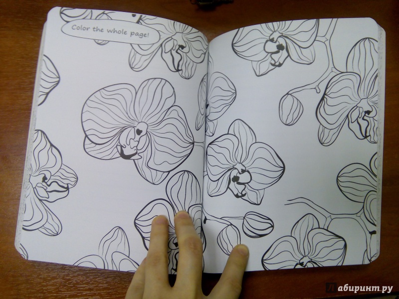 Иллюстрация 17 из 23 для Мои цветы | Лабиринт - канцтовы. Источник: Лабиринт