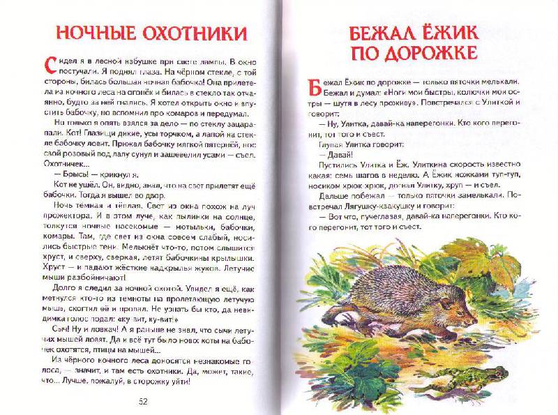 Иллюстрация 38 из 46 для Лесные сказки - Николай Сладков | Лабиринт - книги. Источник: Ya_ha