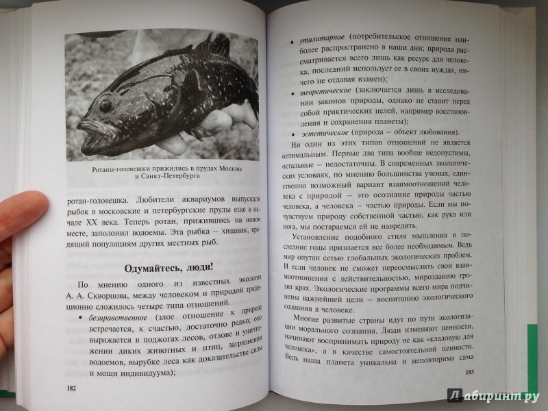 Иллюстрация 25 из 32 для Удивительная экология - Оксана Ларина | Лабиринт - книги. Источник: Ятакая