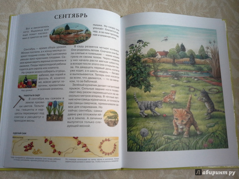 Иллюстрация 29 из 43 для Год в саду - Сюзанна Риха | Лабиринт - книги. Источник: Селезнева  Оксана