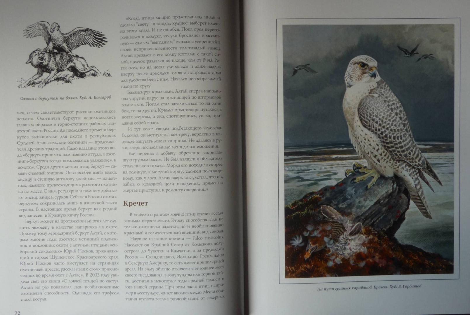 Иллюстрация 12 из 19 для Соколиная охота - Федоров, Малов | Лабиринт - книги. Источник: SiB