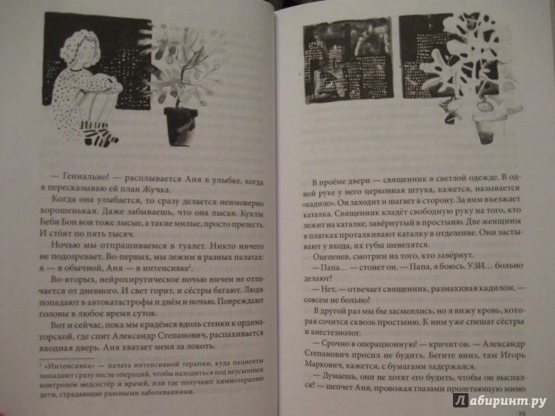 Иллюстрация 16 из 20 для Выдуманный жучок (с автографом автора) - Юлия Кузнецова | Лабиринт - книги. Источник: Юта