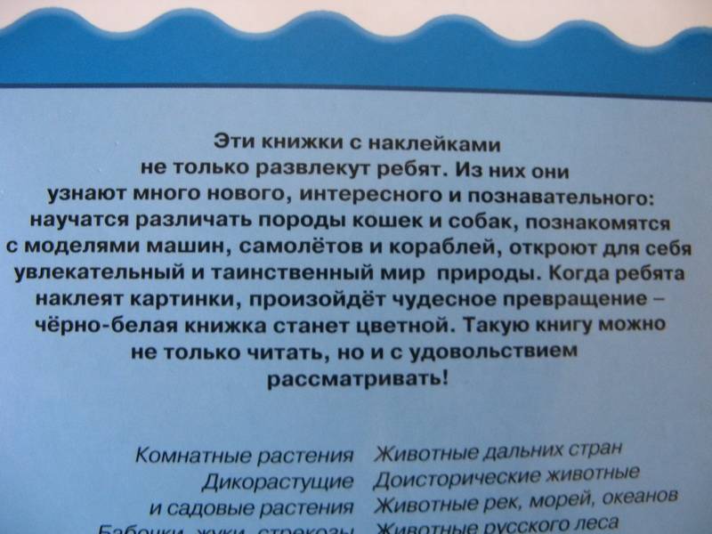 Иллюстрация 11 из 18 для Корабли. Книжка с наклейками - Леонид Гальперштейн | Лабиринт - книги. Источник: Осень-рыжая подружка.