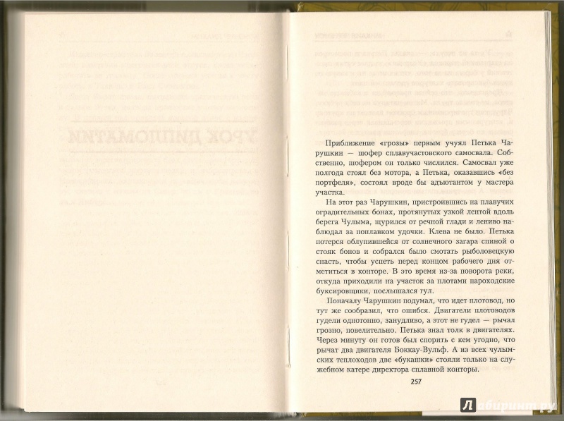 Иллюстрация 14 из 15 для Шальная музыка - Михаил Черненок | Лабиринт - книги. Источник: АГП