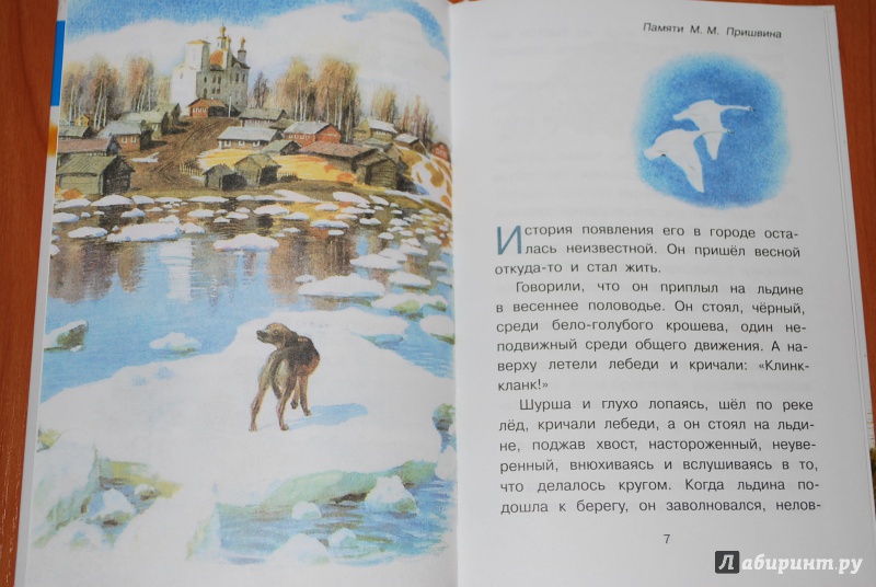 Иллюстрация 7 из 32 для Арктур - гончий пёс - Юрий Казаков | Лабиринт - книги. Источник: Нади