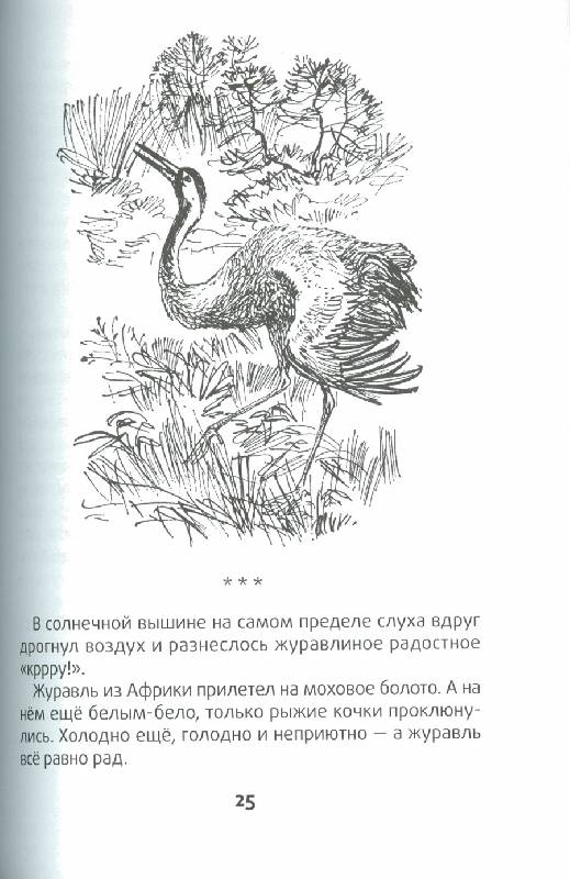 Иллюстрация 36 из 51 для Весенние радости - Николай Сладков | Лабиринт - книги. Источник: bel-k