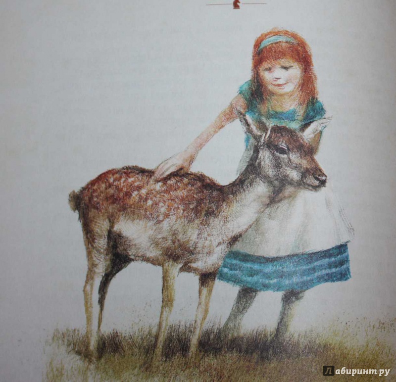 Иллюстрация 46 из 83 для Алиса в Зазеркалье - Льюис Кэрролл | Лабиринт - книги. Источник: Михайлова Алексия