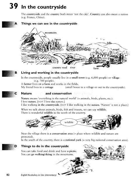 Иллюстрация 14 из 30 для English Vocabulary in Use: Elementary - McCarthy, O`Dell | Лабиринт - книги. Источник: swallow_ann