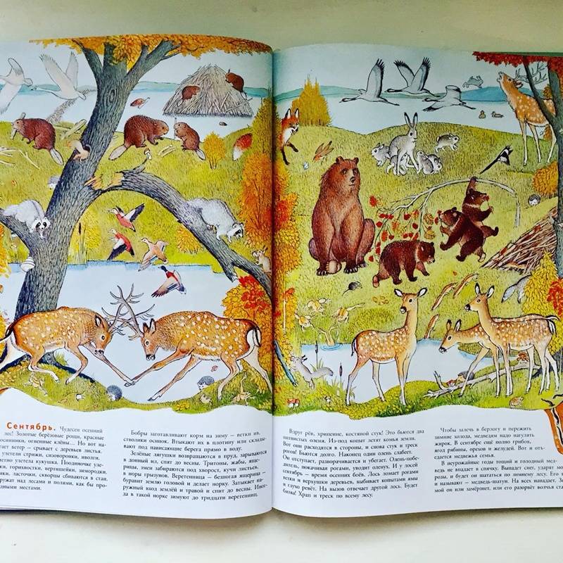 Иллюстрация 94 из 109 для В лесу - Петр Багин | Лабиринт - книги. Источник: Янцевич  Валерия