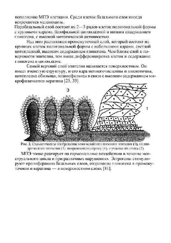 Иллюстрация 12 из 15 для Практическая кольпоскопия - Светлана Роговская | Лабиринт - книги. Источник: Юта