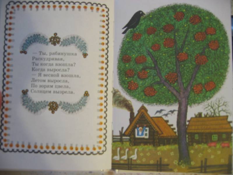 Иллюстрация 13 из 39 для Сорока | Лабиринт - книги. Источник: Синявина Ольга Анатольевна