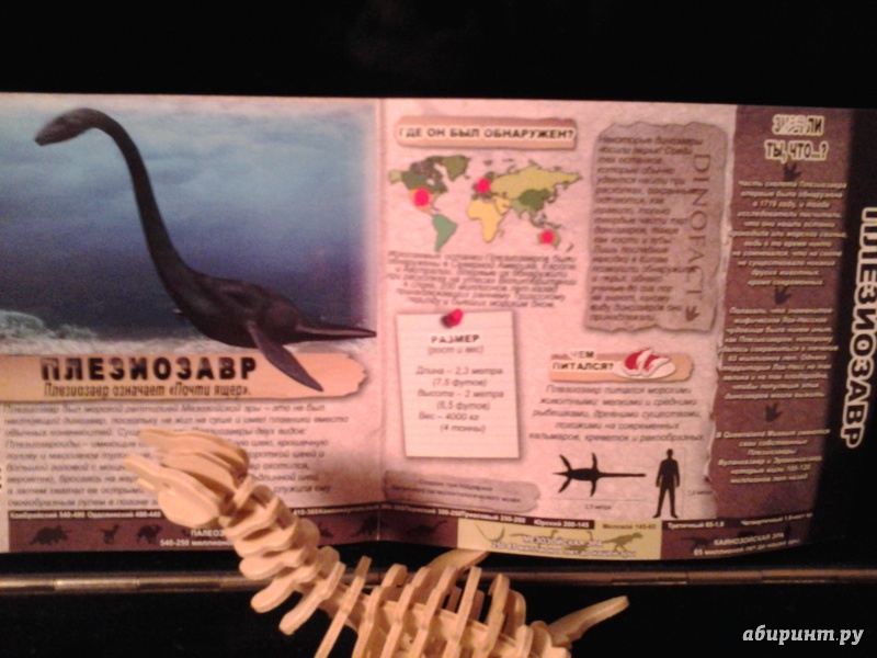 Иллюстрация 3 из 4 для Плезиозавр | Лабиринт - игрушки. Источник: Тимофеева Елена Анатольевна