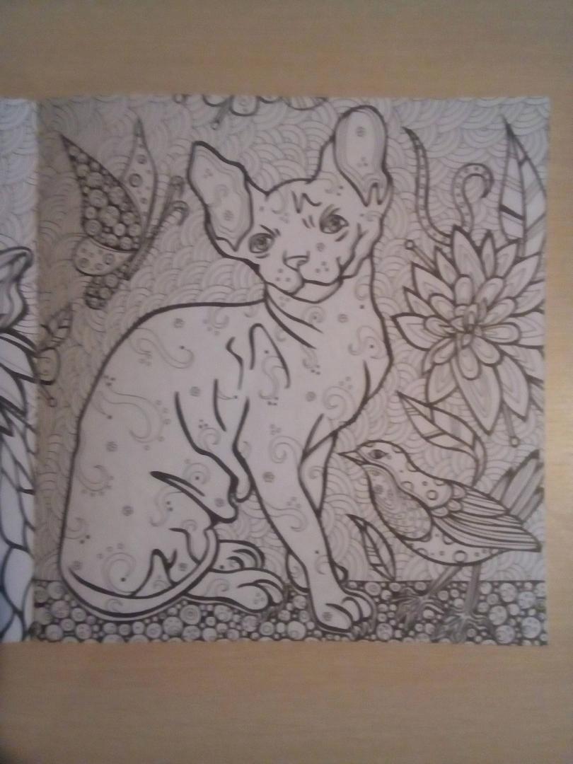 Иллюстрация 16 из 37 для Раскраска-антистресс "Загадочные кошки" | Лабиринт - книги. Источник: Юлия Яговцева